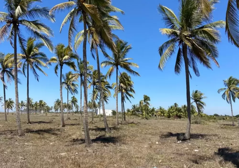 TERRENO EN PLAYA ANGEL TEACAPAN